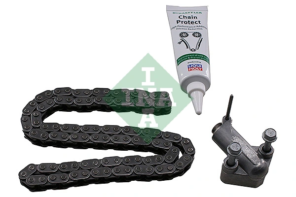Timing Chain Kit